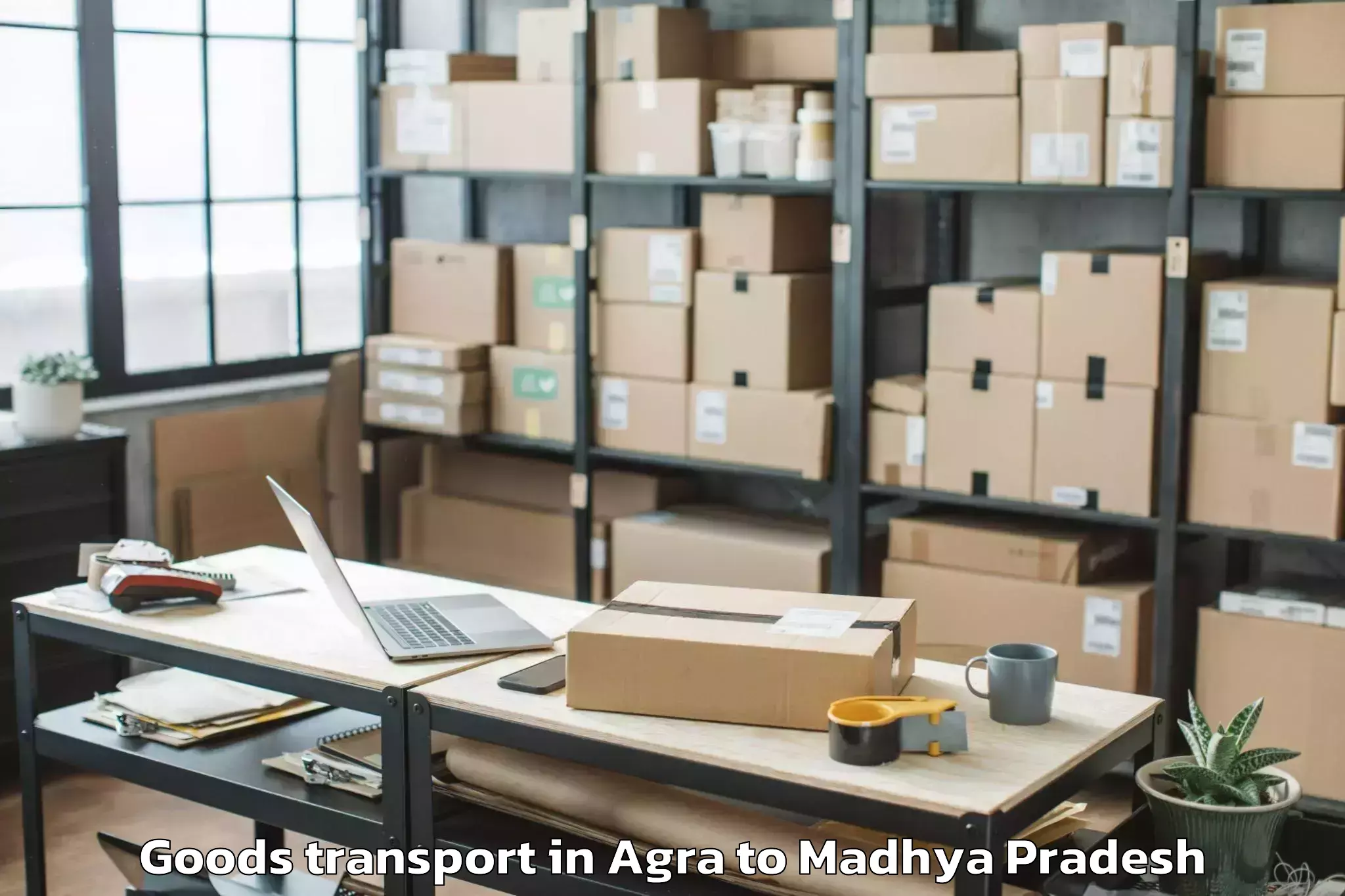 Top Agra to Shajapur Goods Transport Available